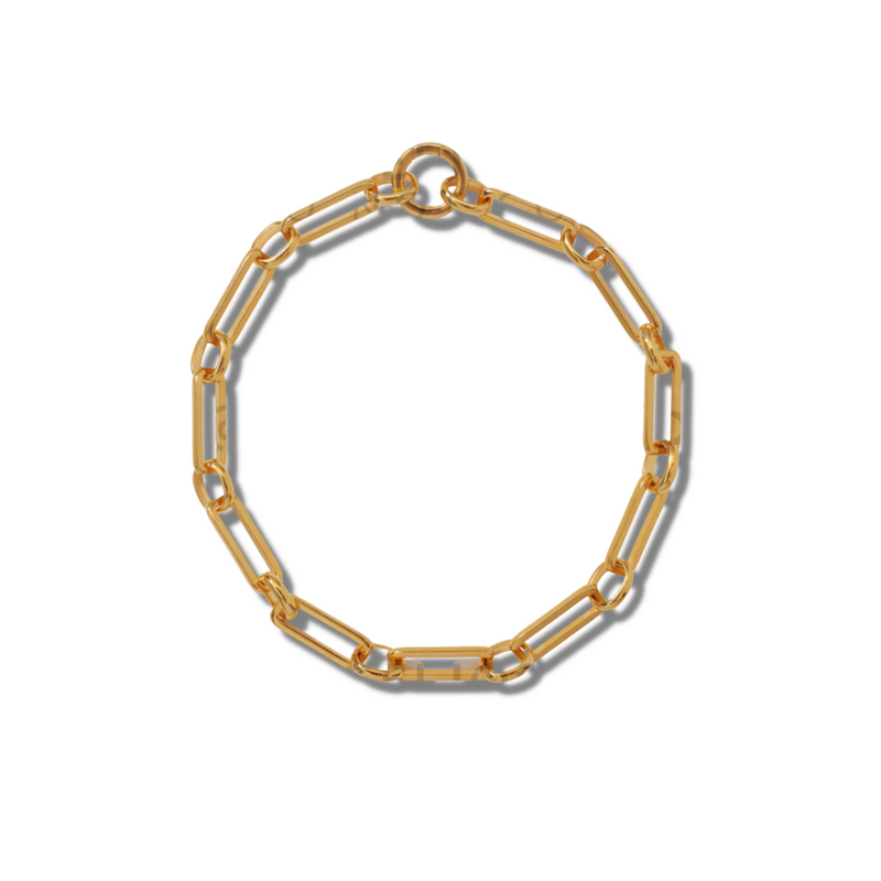 A gold-plated link-chain necklace laid in a circle on a white background, showing the round clicker clasp and alternating oval links.