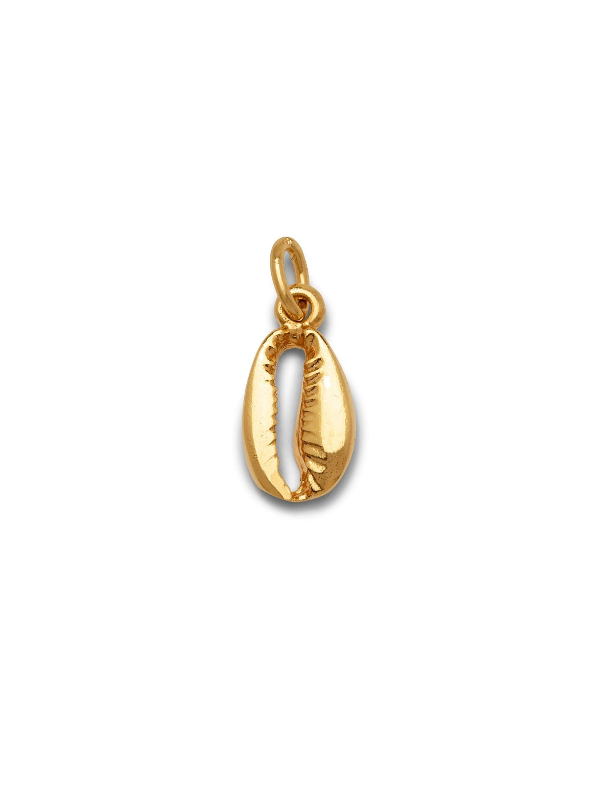 Gold Cowrie Necklace Pendant Charm (sm)-Pendant Charms-JAREDJAMIN Jewelry Online-Gold-JAREDJAMIN