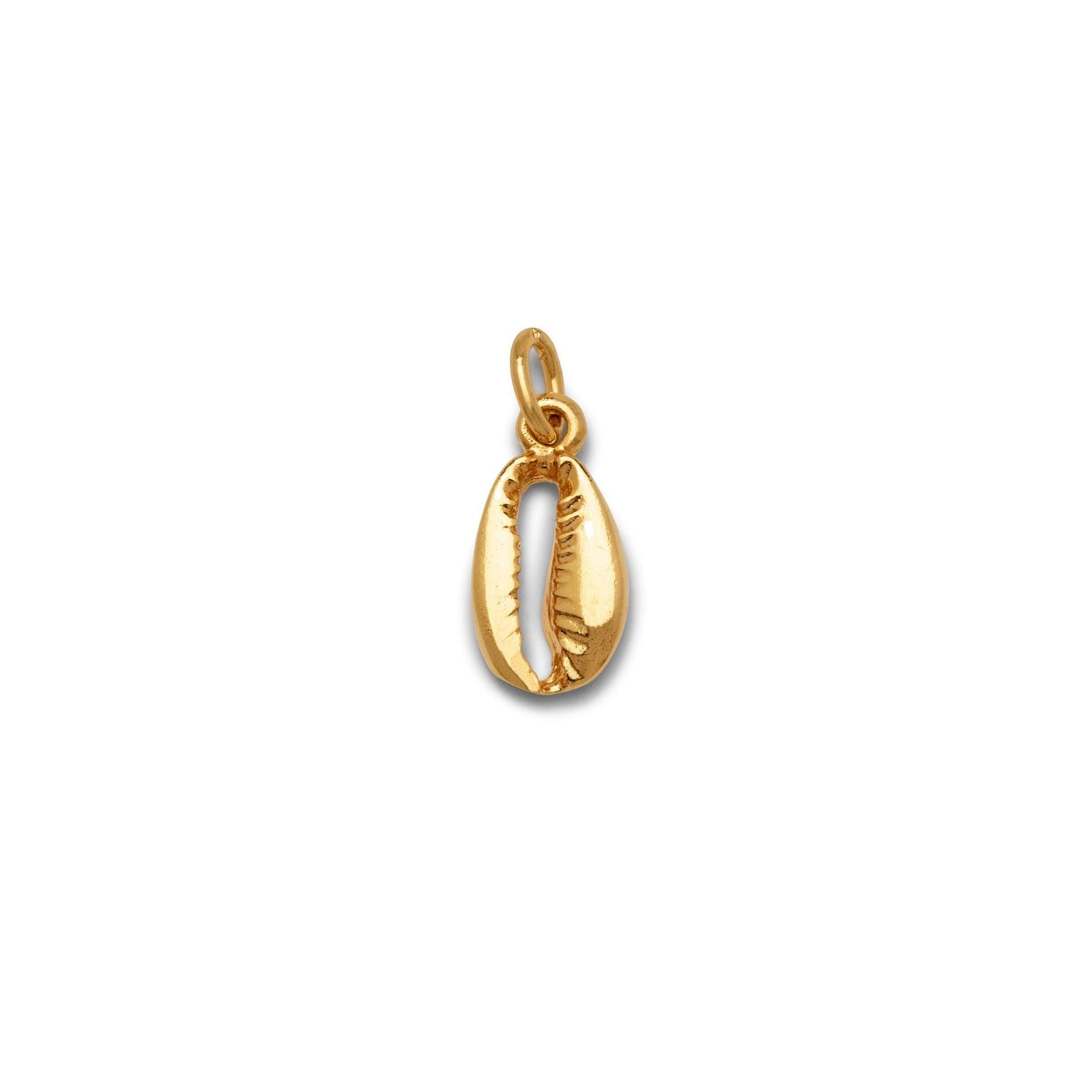 The Gold Cowrie Necklace Pendant Charm sm by JAREDJAMIN Jewelry Online features an 18K gold plated, polished cowrie shell with detailed ridges and a top loop for chains, shown against a plain white background.