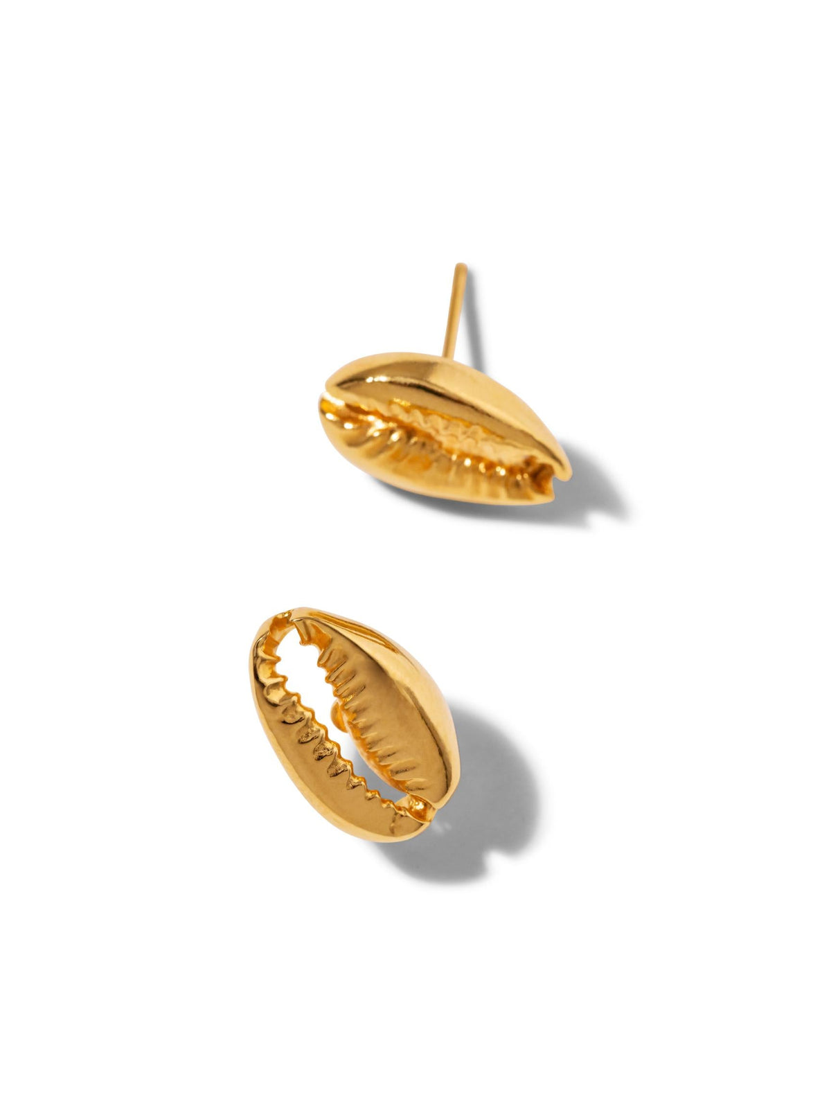 Gold Cowrie Stud Post Earrings-Earrings-JAREDJAMIN Jewelry Online-JAREDJAMIN